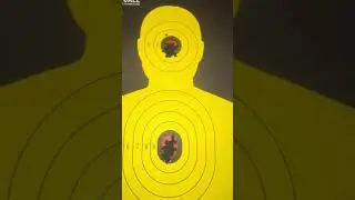 CZ P-10 C PORTED 100 Round Review & Target #9mmpistol #compact #2astrong 