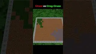Grass Vs Gray Grass #minecraft