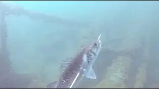 Brighton Shore Dive   HD 720p