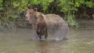 Welcome to Icy Strait Point, Alaska
