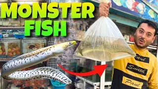 MONSTER FISH LE AE HUM😍snake Jesi Fish he ye to