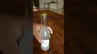 Ginger Ale | Drink | Refreshing Drinks | Ginger Lemon Drink Lacto fermented probiotic drink