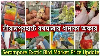 রথযাত্রার ধামাকা অফার 💥।। এমন অফার আগে আসেনি।।Serampore Exotic Bird Market price update।।#serampore