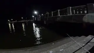 Captain Jordy vs Alligator Gar Fish