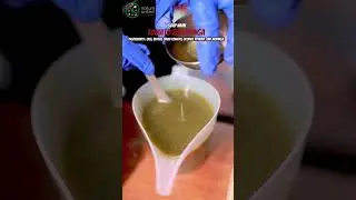 Tomato & Moringa