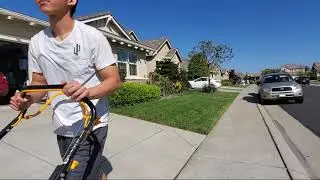 IPM at Home: - Mowing with a sharp blade
