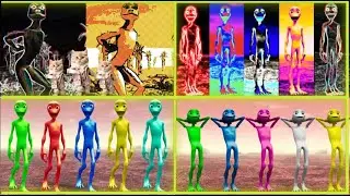 Dame Tu Cosita FULL HD | All Variation Dame Tu Cosita Music Video 2024
