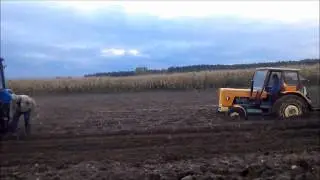 Wyciąganie U-R-S-U-S-A przez Belarusa.