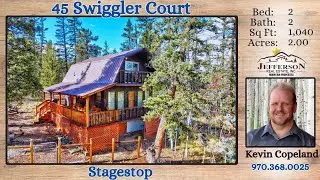 45 Swiggler Ct Jefferson CO | Cabin + Tarryall Fishing Access
