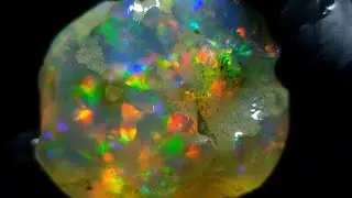 BAHAN OPAL AFRIKA😱RUNGKAD AKHIR BULAN❗️ #opal #wello