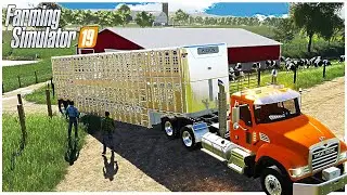 LIVESTOCK TRAILER BOTTOMED OUT AND STUCK | KUBOTA DAIRY FARM | FARMING SIMULATOR 19
