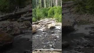 Ohanapecosh Campgroup
