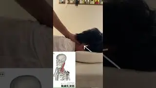 首こりの施術動画