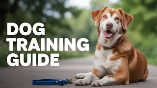 How to Raise a Happy and Well-Behaved Dog