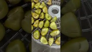 Dried Plums - Homemade dried fruit snack