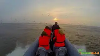 Ekstremalus plaukimas greitaeigiu kateriu į jūrą su &bdquo;Sea Safari&ldquo;