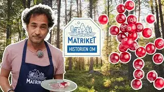 Historien om Matriket: Markus Aujalay lär sig allt om lingon - Avsnitt 1 | Lidl Sverige