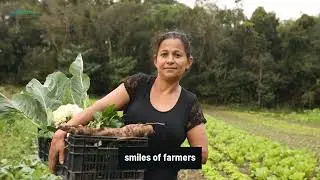 Maximize Your Crop Yields