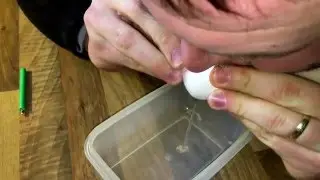 Eier auspusten Ostereier ausblasen mit dem Mund Ostern Anleitung