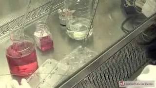 Joslin Scientists Advance Understanding of Human Brown Adipose Tissue and Grow New Cells