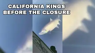 California Salmon Fishing Before The Closure