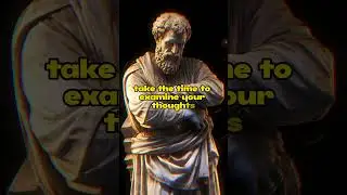 The true stoics practice self reflection| Marcus Aurelius Quotes #stoic #stoicism #philosophy