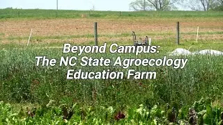 Explore the NC State Agroecology Education Farm