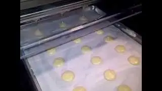 POLIN Multidrop Depositor for Whoopie Pies - ProBAKE Bakery Equipment