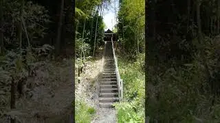 Beautiful path to a Shinto shrine in Japan. #shorts