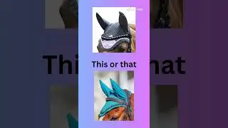 This or that english edition #thisorthat #horses #equestrian #horse #tack 