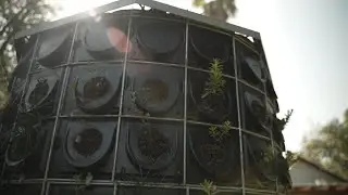 Filtro Vivo: un descontaminante del humo en el aire a base de plantas