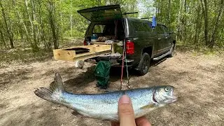 My First Trout: Catch and Cook