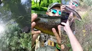 Trotone di Risorgiva (quando il collega di pesca fa il pezzo)