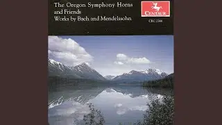 6 Spruche, Op. 79 (arr. M. Hackleman) : No. 5. Im Advent
