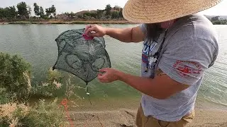 Can you legally trap fish in California? Bait trap methods