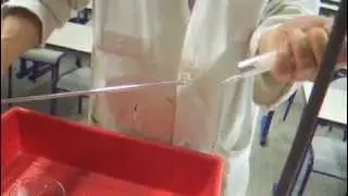 Exp&eacute;rience de Torricelli - Torricelli Experiment