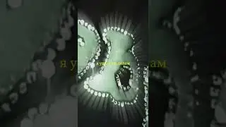 Флорист & Big Rula - 