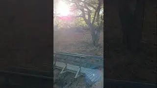 The Breezes of Johnson Ranch