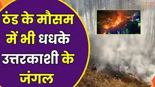 Uttarkashi Fire Incident: ठंड के मौसम में भी धधके उत्तरकाशी के जंगल | Uttarkashi News | Zee UPUK