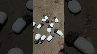 96998 30136