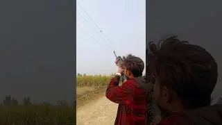 Airgun hunting #airgunhunting #shikar #shikari #birdhunting #hunting #huntingbirds #birdhunter #trap