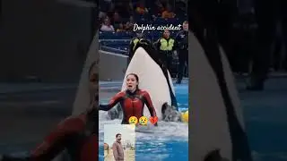 Dolphin accident very sad😢😢💔 jessica #rip #Dolphinaccident #foryou