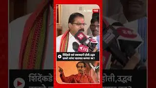 Aamshya Padvi : शिंदेंकडे सर्व जबाबदारी होती,उद्धव ठाकरे त्यांचा घातपात करणार का?