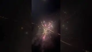 16 Shots Stellar Saga by Dragon Fireworks #shorts #feuerwerk #fireworks #vuurwerk