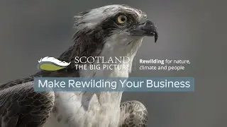 Make Rewilding Your Business