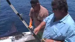 Dan Hernandez lands a Marlin in the East Cape | SPORT FISHING