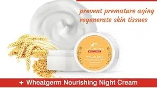 Honest review of Alps goodness wheatgerm nignt cream|budget friendly night cream| Jyothi Rani