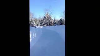 Lac des Loups skating in the forest