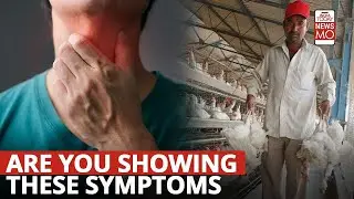 H9N2 Bird Flu in India: WHO Confirms Second Human Case in West Bengal, All you need to know