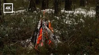 🔥Quiet Campfire in the First Snow ❄️ & Real Forest Sounds